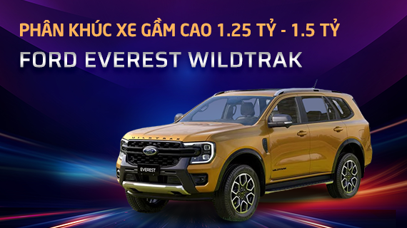 Xe nhất các phân khúc 2024