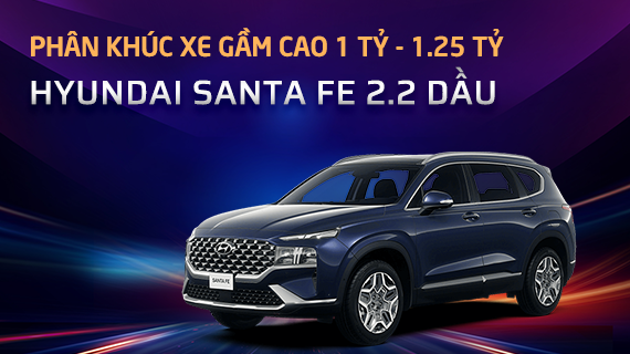 Xe nhất các phân khúc 2024